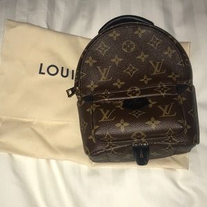 Louis Vuitton Palm Springs Mini Monogram Backpack